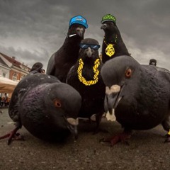o-ton