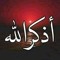 محمود مرسى شاهين
