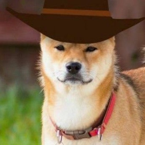 First Day_Master 1.mp3 ©thomascaprara@gmail.com