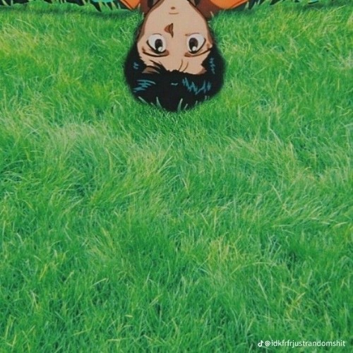KING USOPP - sah