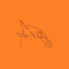 Hyper Robin Recordings
