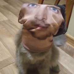 jsssssss