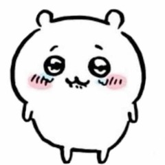 CHIIKAWA FAN I LOVE CHIIKAWA NUMBER ONE FAN!!!!!!!