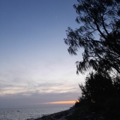 bala_bor_you