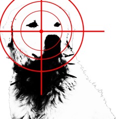 MAJORHEADTRAUMA