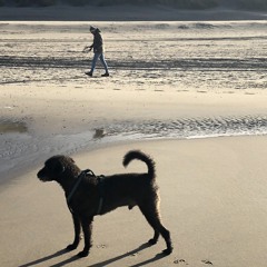 Together we are legends (Ashes and Dreams)