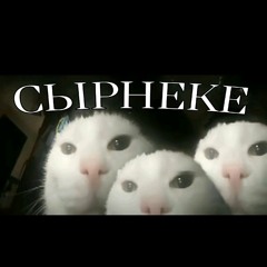 wrotxer
