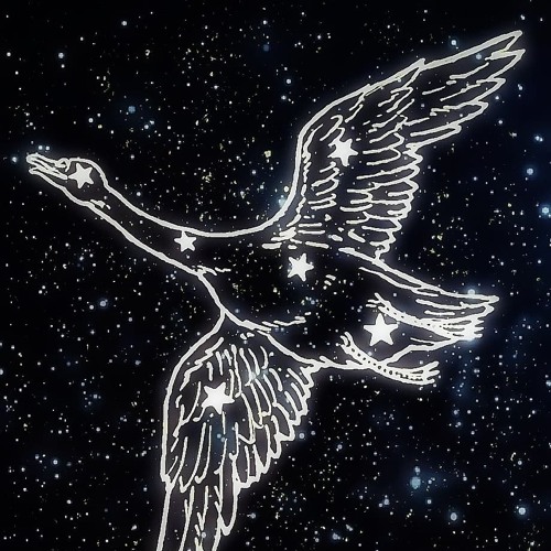 The Black Swan Triad’s avatar
