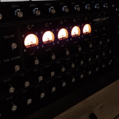 Rootwise Activist From Horns Legacy Sound System