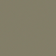 reticulum