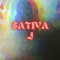 Sativa J