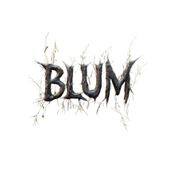 Blum Agency