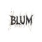 Blum Agency