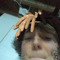 Luke Johnson