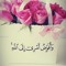 Sherine Allawy
