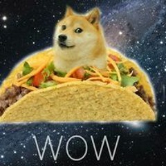 wowsou