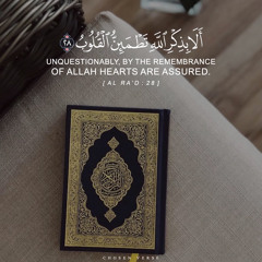 Amin abd elazeim