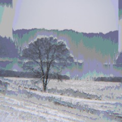 音泊