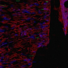 WSTprod