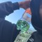 Gotpaiddb