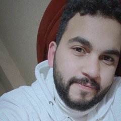 Hossam Eldeen