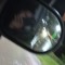rickT_rimirch