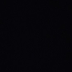 Sander
