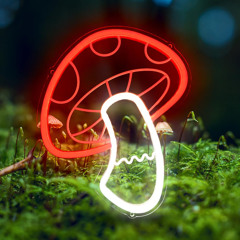 Neon Fungus