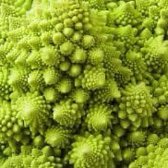 idonthavetimeforpsychedlicbroccoli