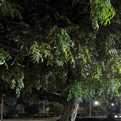 رِ