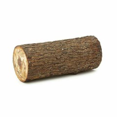 Log