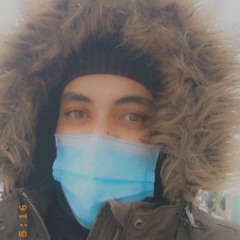 Hasseb Mahmoud