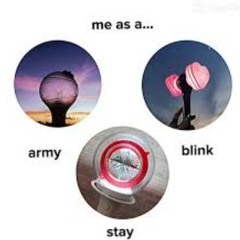 Blink&Army&Stay