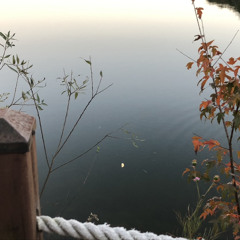Hot Summer Evening