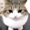 vanillaflavoredgirl