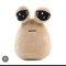 pou