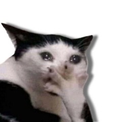 meow3000