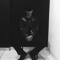 Rayhan Rizky