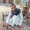 Khalil Gamil