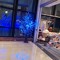 رقيه عشابي