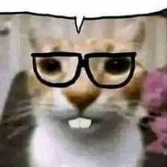 EEFFYIE