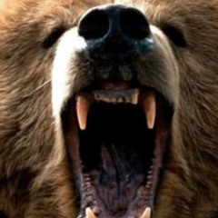 trem do urso ✌️🚩