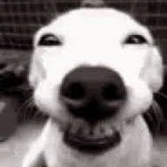 drewx_O