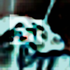 livi.onnit