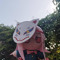 HipeSora
