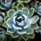 user262752