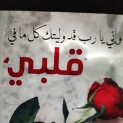 Marwa Elgehady