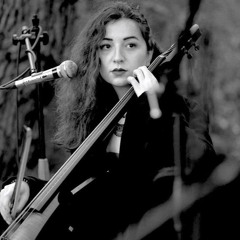 Yaren E. Budak