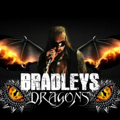 BRADLEY'S 🔥 DRAGONS