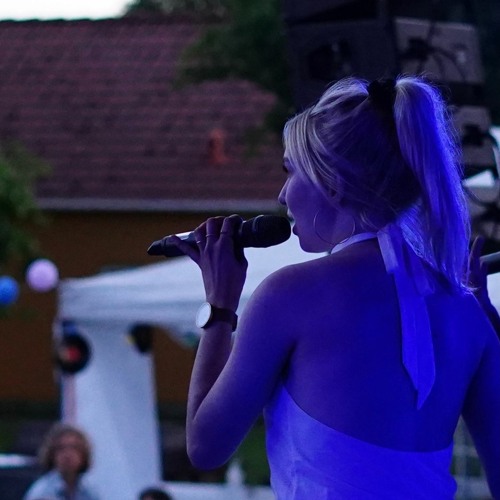 Sig det nu bare - lidt fancy version